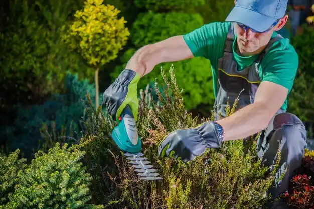 landscaping services Hamtramck